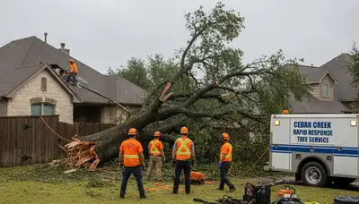 Emergency tree removal after storm damage in Cedar Creek, TX restoring safety and property access