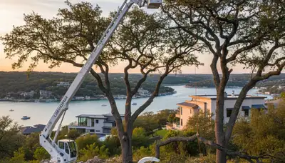 Professional tree removal service in Austin, TX by certified arborists cutting large oak safely