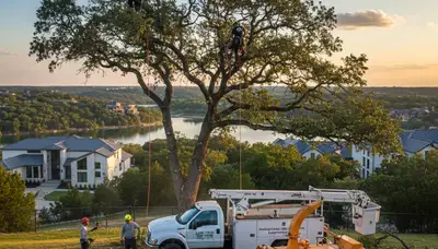 Professional tree removal service in Austin TX by certified arborists | TreeServicesAustinTX.com